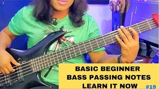Basic beginner bass passing notes, learn it now