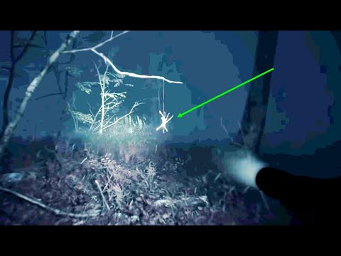 Video: Jayba Fofis Giant Spider: The Mystery Of Congo Forest - Alternativ Vy