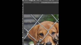 Photoshop tricks 2022 | learn photoshop | learn photo editing best tricks(1) screenshot 3