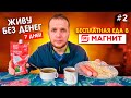 Как я живу неделю без Денег! Бесплатная еда в Магнит