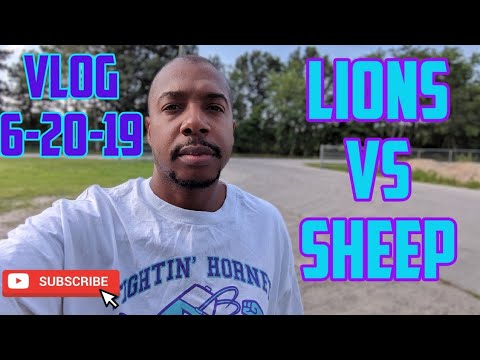 TRUCKING - YouTube Truckers - LIONS vs SHEEP