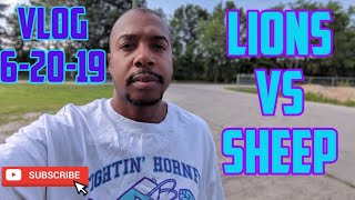 TRUCKING - YouTube Truckers - LIONS vs SHEEP