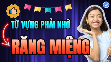 8 Từ Vựng Tiếng Anh Chủ Đề Răng Miệng PHẢI THUỘC LÒNG Để Nầng Trình Từ Vựng