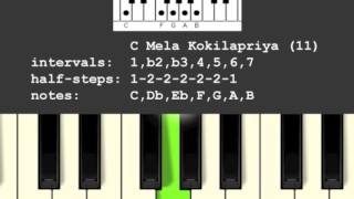 Mela Kokilapriya Scale/Raga (11)