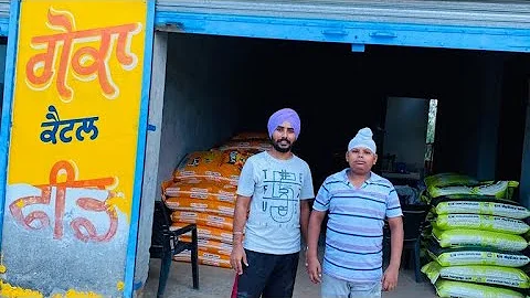 GAVY ON FEED STORE || LATEST COMEDY VIDEO 2022 || ...