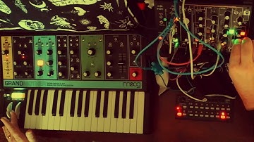 traffic - Moog Grandmother / Makenoise 0coast && strega