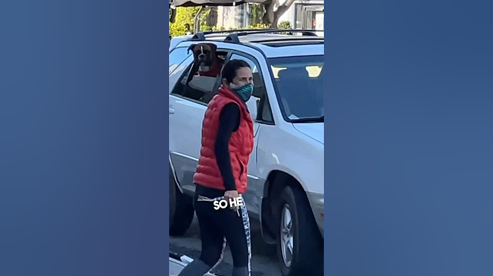 This dog was honking the car horn at his owner to hurry up 😂