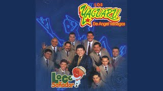 Video thumbnail of "Los Yaguarú - Te Necesito"