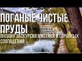 Чистые пруды: скрытая красота. Экскурсия в прямом эфире