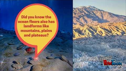 Components of the Environment