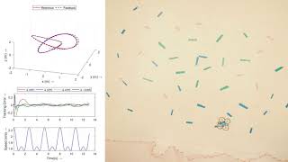 Famous Robust Trajectory Tracking by a Quadcopter: A Game Against Nature Wealth