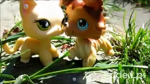 LPS: MEP Part 11 and 12 For LpsFaith Productions