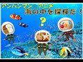 【海の遺跡たんけん】サメが出たぁ！こっちには巨大イカァ～！？にげろ～！！１歳・２歳・３歳☆子供　喜ぶ♪アンパンマンアニメAnpanman