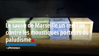 Le savon de Marseille une solution efficace contre les moustiques porteurs du paludisme