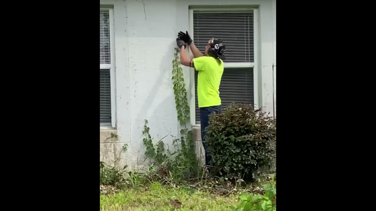 This Lawn Needs To be Mowed To Prevent Squatters