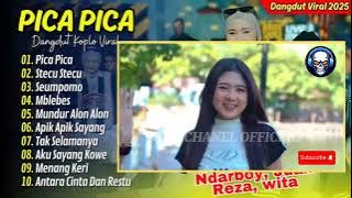 Dangdut Koplo // Pica-Pica,Ndarboy,Juan Reza,Jacson Ft Wita, Stecu-Stecu'Selamat Mendengar kan