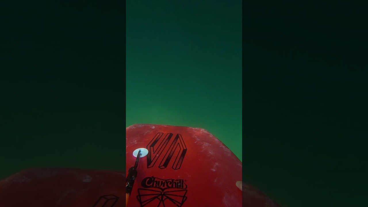 Trying to encourage my friend to keep paddling after 374 duck dives… water clarity was just unreal!