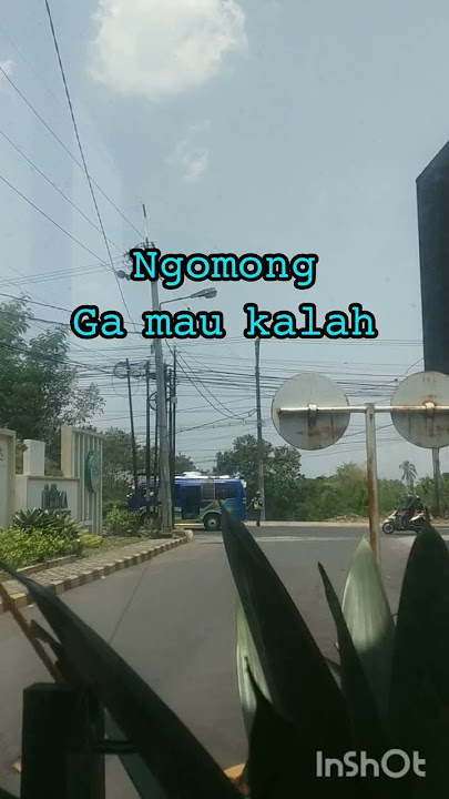 #shorts_ #storywa #iwanfals #aku sayang kamu@irdan