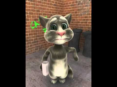 Gato falante - YouTube