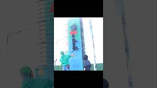 Pitbull Punch - Equipe Taifu Kennel...