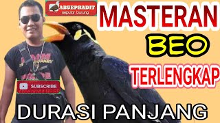 The Voice of the Beo Gacor Masteran Parrot Long Duration Full Stuffing-The Parrot Can Talk(Beomp3)