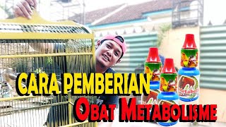 Cara Pemberian Obat Tetes Metabolis By. Dr Eddy - Sentral Kenari