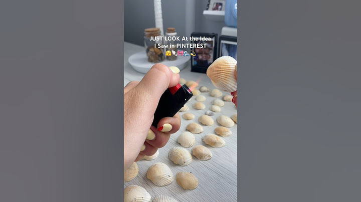😮YOU MUST TRY IT🥹Cute DIY Sea Shells Neclace🌊🐚Handmade Jewelry🎀#diy #giftideas #jewelry #shorts
