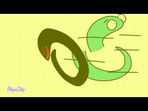 Lushootseed Alphabet lore ʔČ YouTube