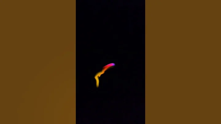 How To Survive A Swarm Of Bees 😱