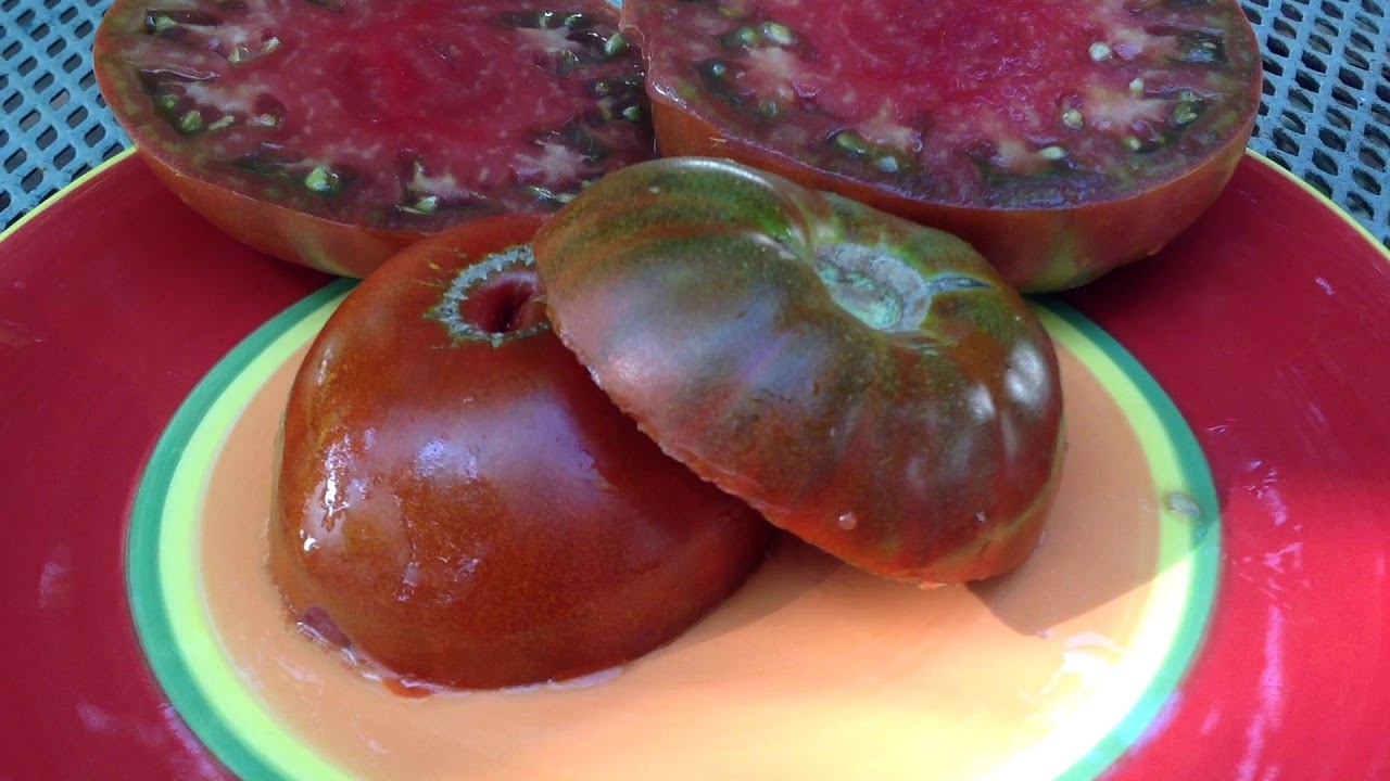 Creme Brulee Tomato Intensely Flavored And Impressive YouTube