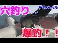 穴釣りで爆釣！デカメバルをぶちぬけ！【穴釣り】