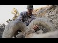 Nevada Bighorn Sheep Hunt