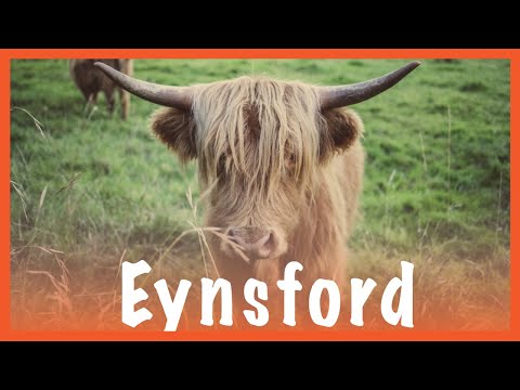 Eynsford Circular walk | Hiking UK | 4K | North Downs | My Favourites | 🇬🇧 Hiking UK | England