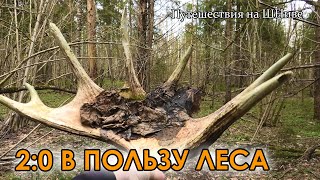 Саркосцифы да несколько строчков. Рузский и Луховицкий