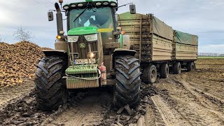 John Deere 6195R  STUCK in MUD | Rába Steiger rescue | Cukkorrépa hordás 2019