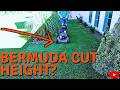 This Bermuda Loves a High Cut - Rotary Mower