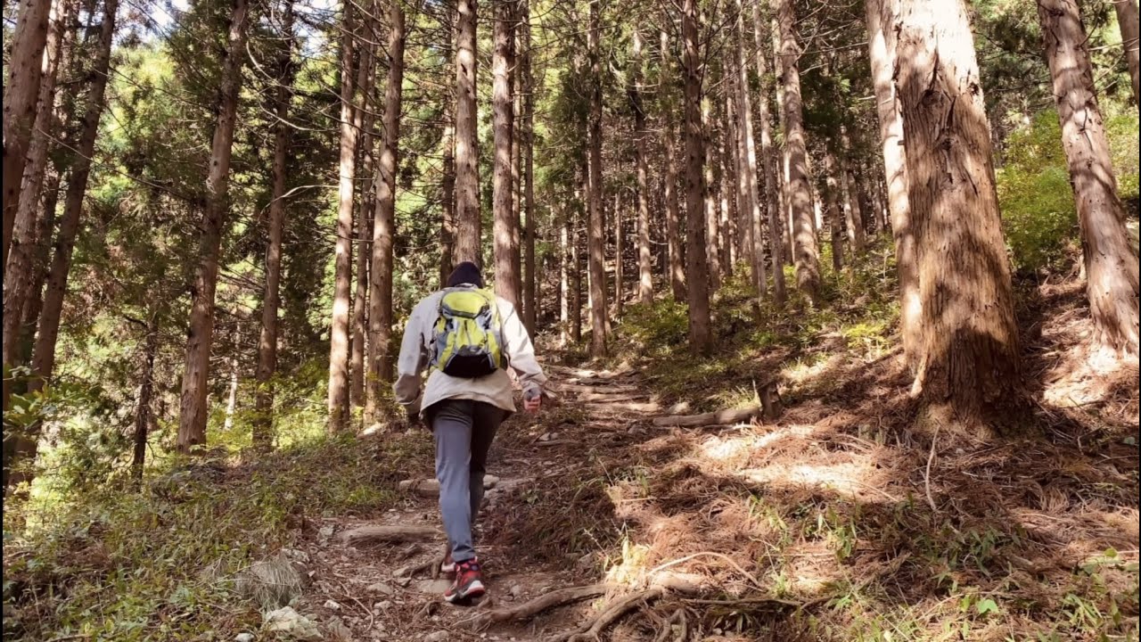 창원시내에서 15분 거리에 엄청난 편백나무숲과 바다뷰가 ?!