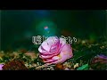 【ヒロアカ5期ED】嘘じゃない (Believe)/ 崎山蒼志 - Soushi Sakiyama/ Covered by ダブルキー
