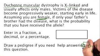 Problem 13 - Tales from the Genome