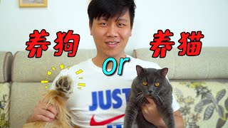 养狗好还是养猫好3年资历的铲屎官这样说