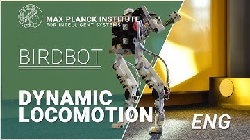 Meet BirdBot, an energy-efficient robot leg - research published in Science Robotics