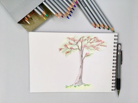 Cùng Bé Vẽ Tranh - Cách Vẽ Tranh Cây Hoa Phượng Mùa Hè Bằng Bút Chì Màu - Học  Vẽ Cùng Chị Kim An - Youtube