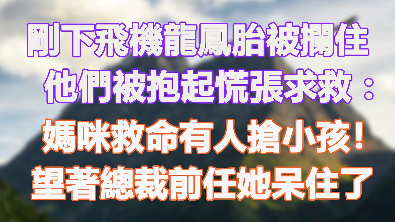 剛下飛機龍鳳胎被攔住，他們被抱起慌張求救：媽咪救命有人搶小孩！望著總裁前任她呆住了。#甜寵 #情感故事 #現代言情 #小説
