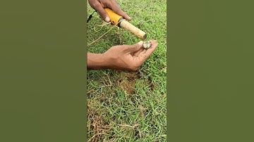 best pinpointer metal detector #shorts #short #youtubeshorts#viral  #treasurehunting #metaldetecting