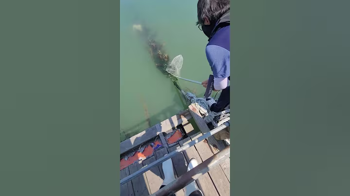 거기에 우럭이 숨어있다 대일수산좌대 #fishing #생활꿀팁 #낚시 #fishingvideos #뉴스 #seafood #shorts #AI #에이아이