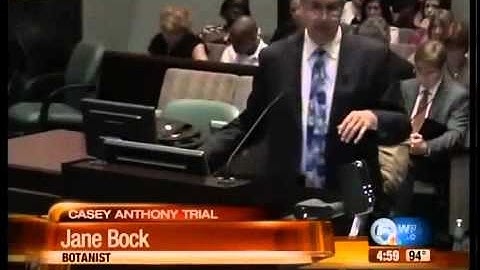 Forensic botanist takes the stand in Anthony case