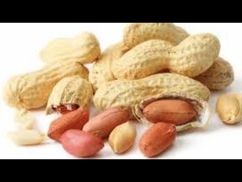 تحميص السوداني بقشره وكيفيه تمليحه بطعم وجوده