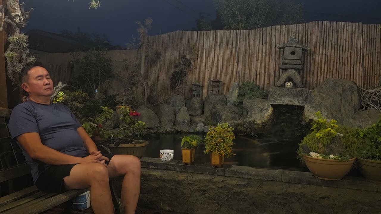 Relaxing by my koi pond with 5 minutes meditation 