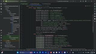 #8 Creating Browser& Driver Manager screenshot 5