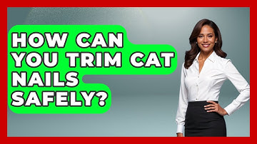 How Can You Trim Cat Nails Safely? | Happy Cat Handbook